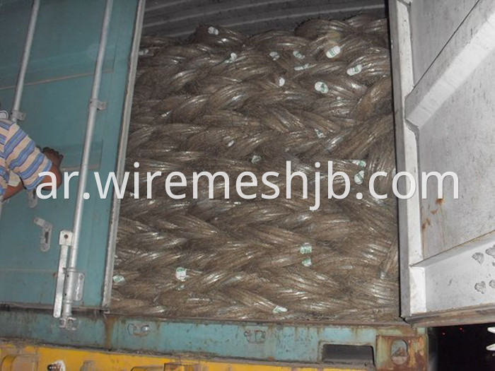 Galvanized Wire BWG20